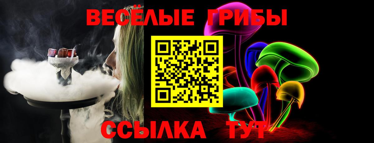 Сосновоборск  где купить наркоту  Псилоцибиновые грибы MAGIC MUSHROOMS  Вход с VPN  Галлюциногенные грибы MAGIC MUSHROOMS 
